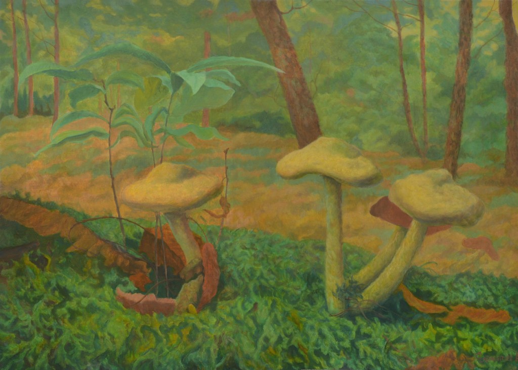 a company of mushrooms post