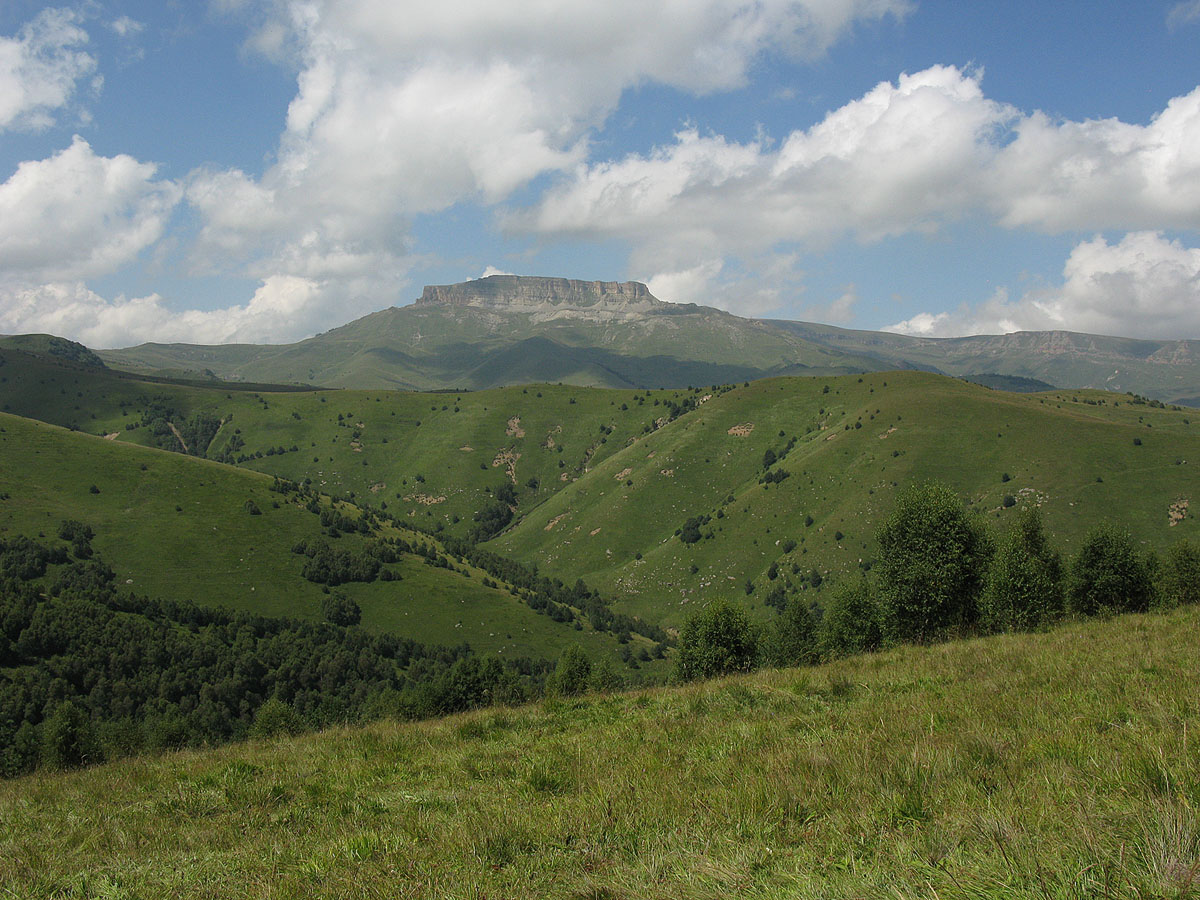 гора сторожевая